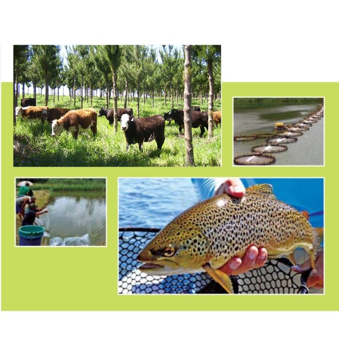 Sector Pecuario Consorcio Agroriente