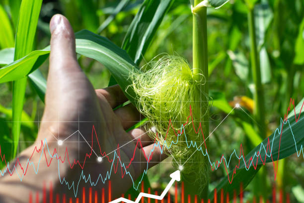 Valores Corporativos-Consorcio Agroriente