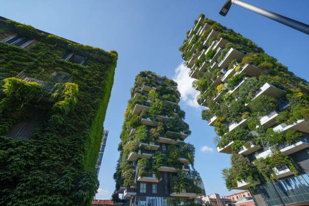 Productos bosco verticale