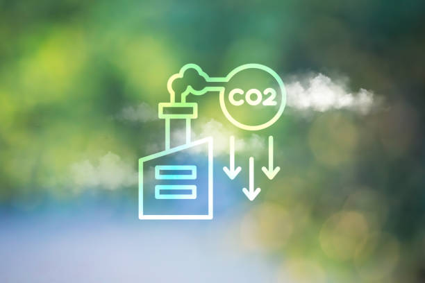 Productos co₂ purificado