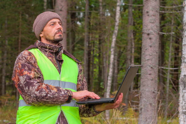 consultoría en manejo forestal