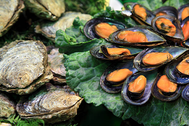 Productos seashells on the market