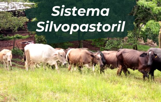 xr:d:dafzxyeyxpm:6,j:2434604376155353867,t:23111015